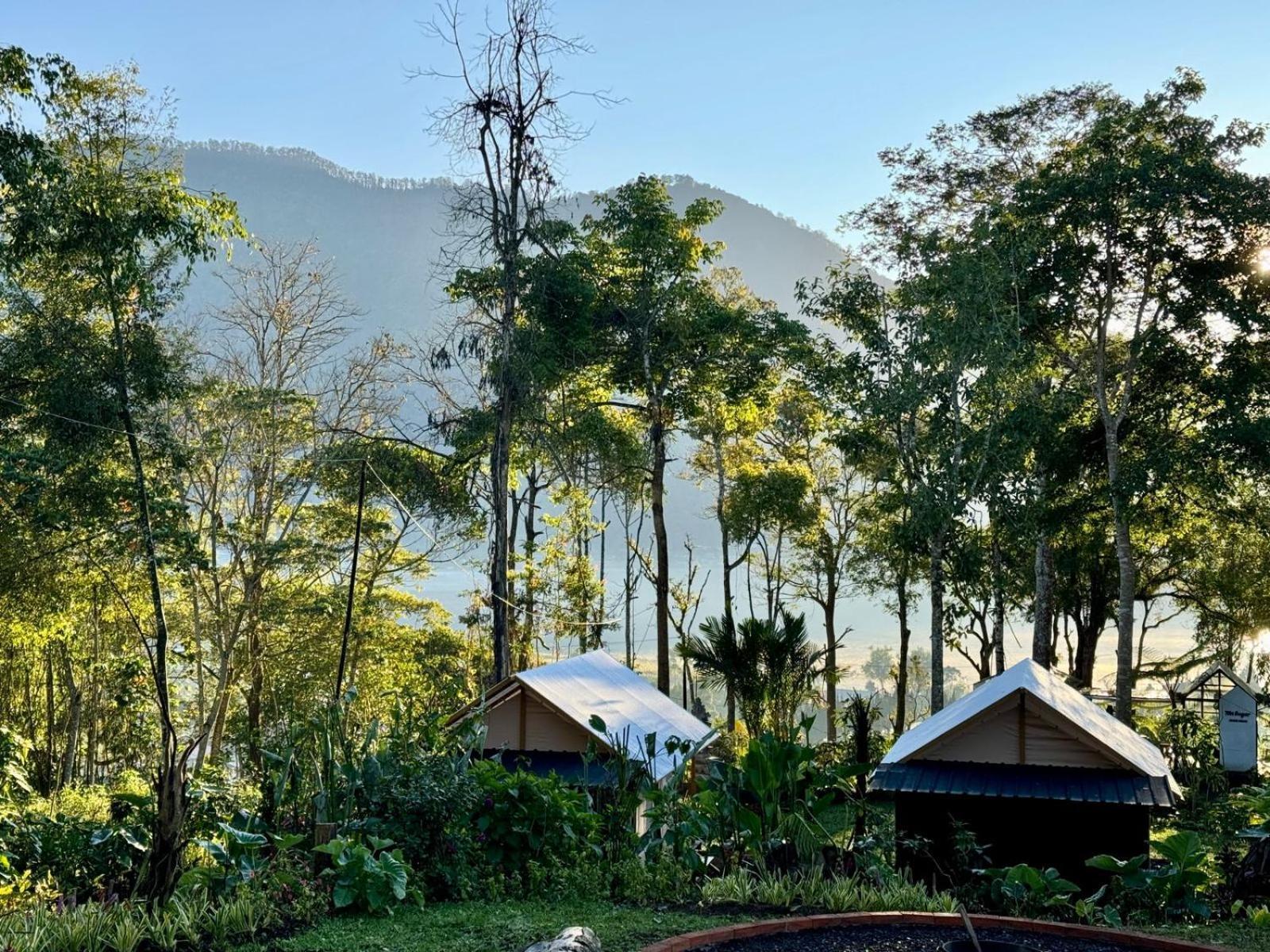 Green Lava Lake View Glamping Bedugul Bedugul  Extérieur photo